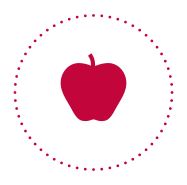 La cueillette de pommes bio aux Jardins frutiers