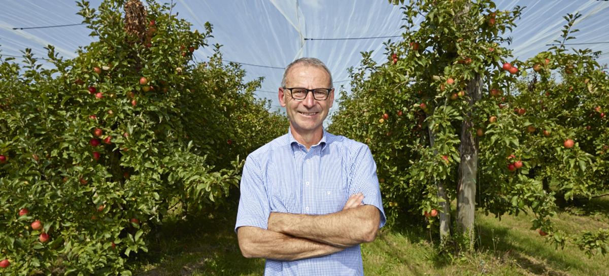 Jean Chereau, Jardins Fruitiers, Château-Thébaud